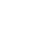 Vivo Vivo